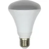 LED R80 60W Warm Light Bulb -Chic Lighting Store 12807218 1004831967886702