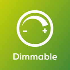 TCP Filament Globe Clear 40W BC Warm Dimmable Light Bulb 11 TCP Filament Globe Clear 40W BC Warm Dimmable Light Bulb -Chic Lighting Store 12824593 1154916680461951