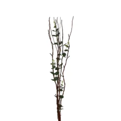 None 100cm Eucalyptus Battery Twig Lights -Chic Lighting Store 12842358 1364867914892506