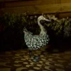 Solar Silhouette Duck - 43x12x27.5cm 1 Solar Silhouette Duck - 43x12x27.5cm -Chic Lighting Store 12912162 1925042096120703