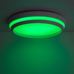Lutec Cepa RGB LED Indoor Ceiling Light With Lutec Connect Technology - White - IP20 -Chic Lighting Store 13950223 3864993071817926